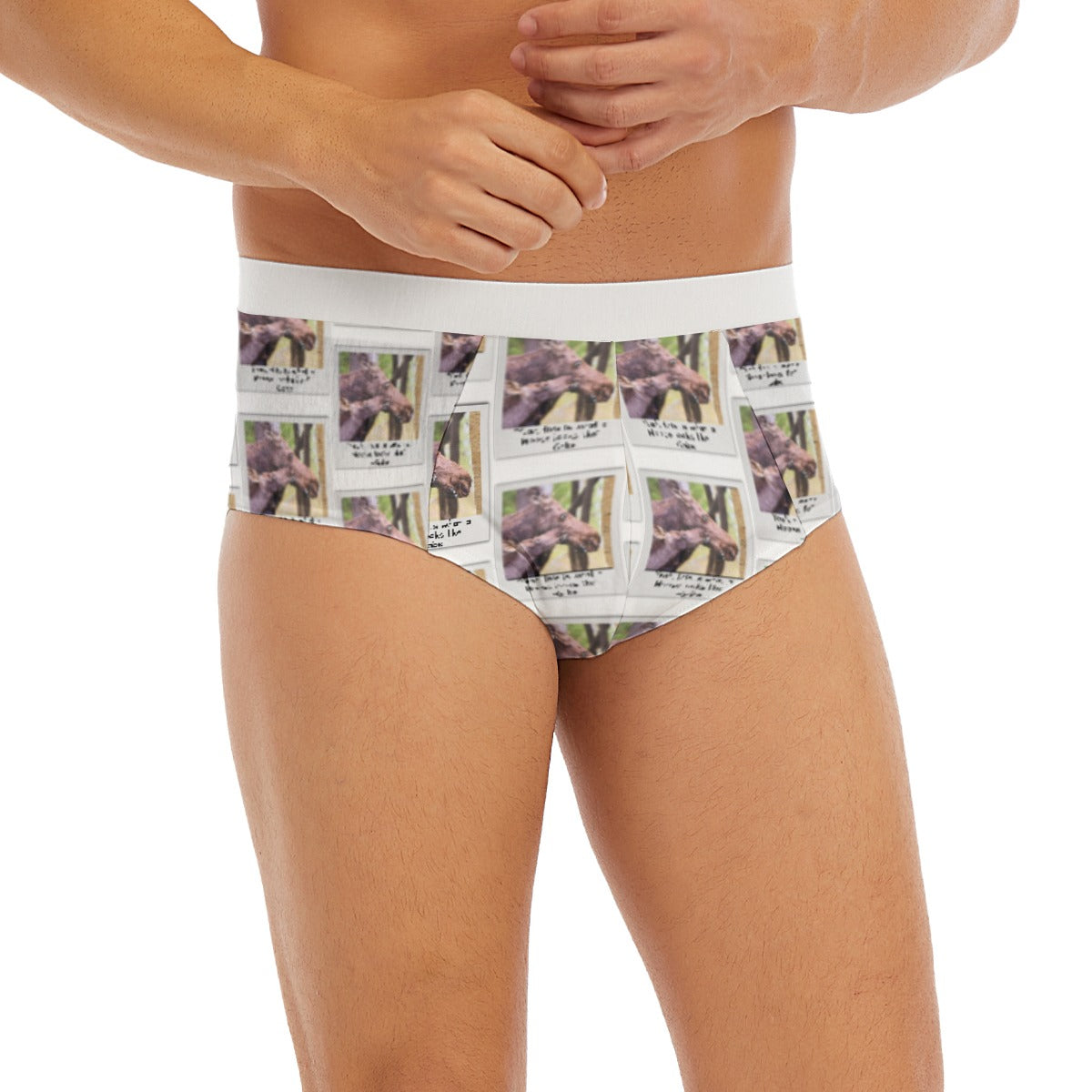 Men's Triangle Low-rise Underwear