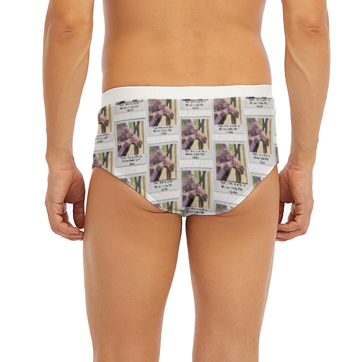 Men's Triangle Low-rise Underwear