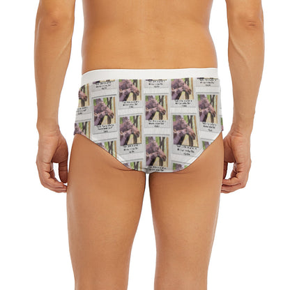 Men's Triangle Low-rise Underwear
