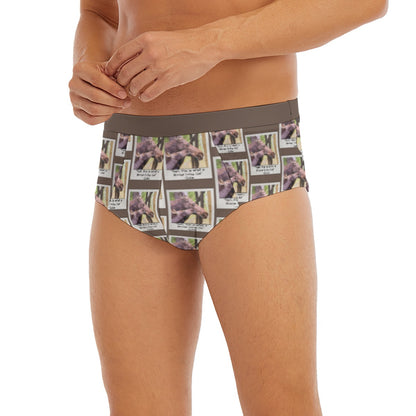 Men's Triangle Low-rise Underwear