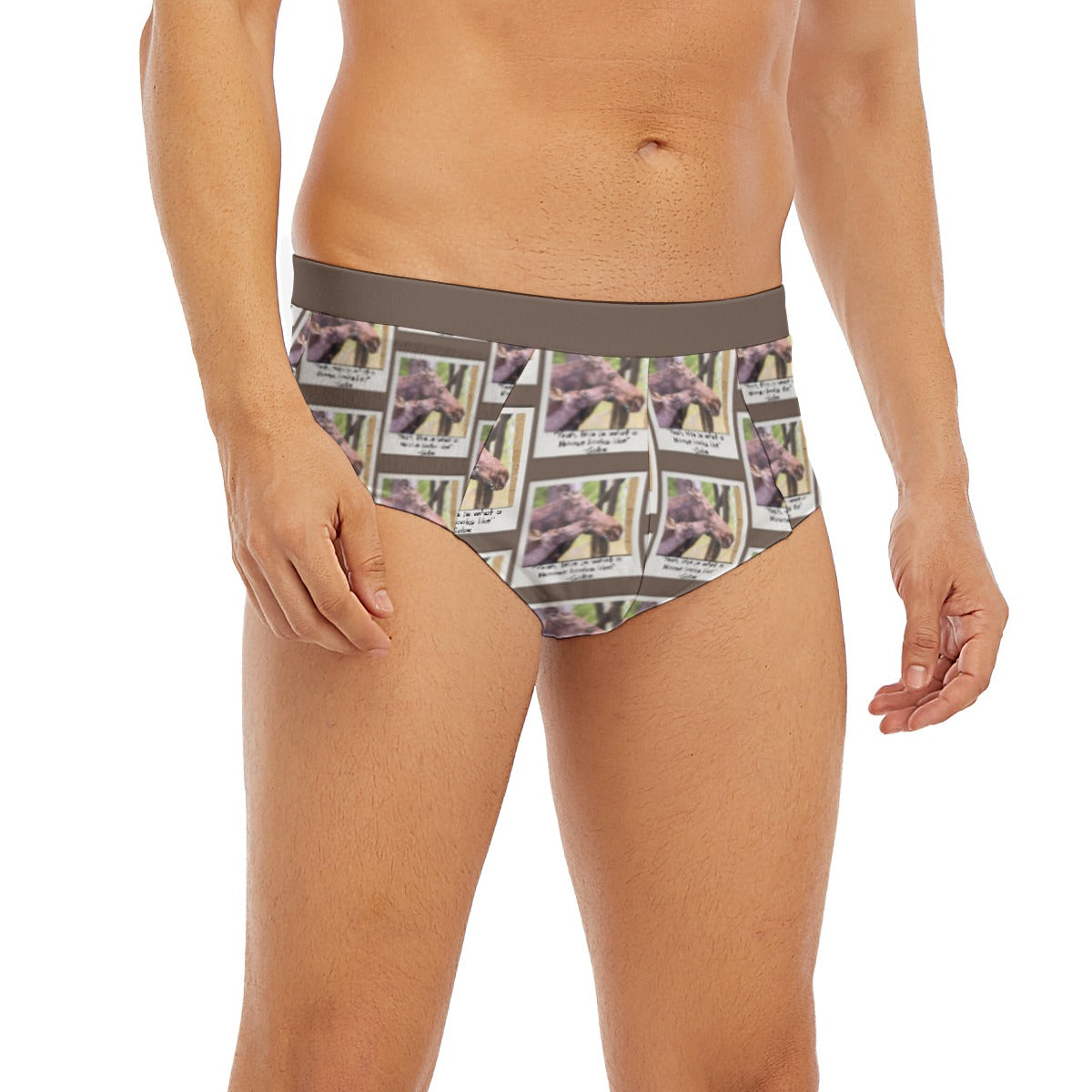 Men's Triangle Low-rise Underwear