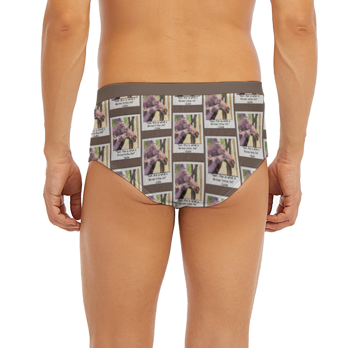 Men's Triangle Low-rise Underwear