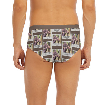 Men's Triangle Low-rise Underwear