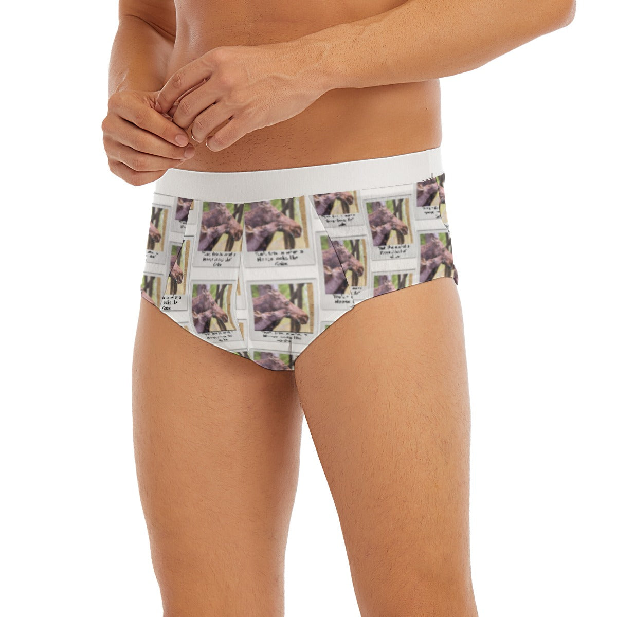 Men's Triangle Low-rise Underwear